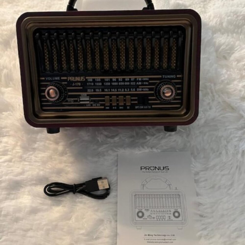 Prunus J-170 Vintage Design Radio